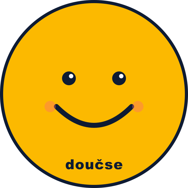 Dyskalkulie doučování